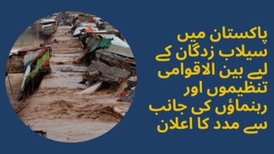 Flood Crisis in Pakistan: Turkey, China, UAE, and other Countries extend Support