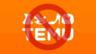 Pakistan’s Regulators Eye Potential Ban on Temu App Amid Local Business Concerns