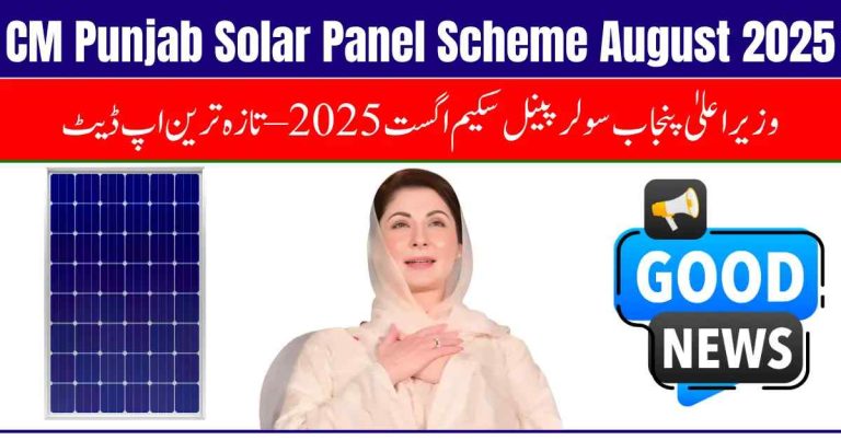 Punjab Expands Solar Panel Program to Help Families Slash Power Bills