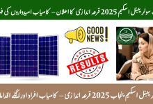 Punjab’s Free Solar Panel Balloting 2025 Results, Winners, and Next Steps